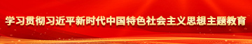 激情大鸡巴操学习贯彻习近平新时代中国特色社会主义思想主题教育